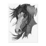 'Spirit' Clydesdale Stallion Horse Art Post Card
