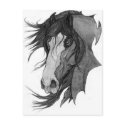 'Spirit' Clydesdale Stallion Horse Art postcards
