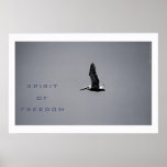 Spirit of Freedom posters