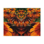 Spirit of Rudbeckia postcards