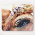 SPIRIT OF THE HORSE mousepads