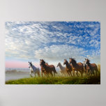 Spirit Of The Prairies posters