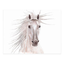 Spirit of the Wind Horse -vintage- Post Cards