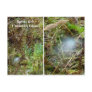 Spirit Orb on Unalaska Island Postcard
