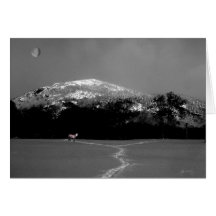 Spirit Pony Under Gibbous Moon Greeting Cards