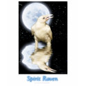 SPIRIT RAVEN t-shirts