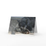 "Spirit" Standard Schnauzer Photo Greeting Card