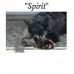 "Spirit" Standard Schnauzer Photo t-shirt