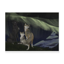 Spirit Watching Postcard