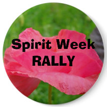 Spirit Week RALLY buttons Pink Poppy Flower