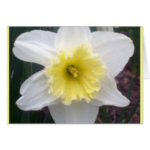SPIRITUAL BLESSING CARD