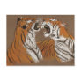 Spitting Mad Tigers - postcard
