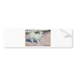 Spitz Bumper Sticker