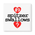 SPITZER SWALLOWS 2 Magnet