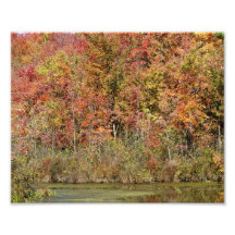 Splash of Colour ! 10x8 Photographic Print