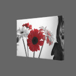 "Splash of Red" Stretched Canvas Print canvas prints