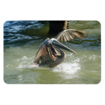 Splashdown Premium Magnet