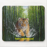 Splashing Tiger Cub & Bamboo Stream Mousemat Mouse Pads