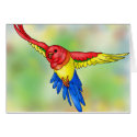 Splashy Avian cards