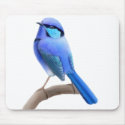 Splendid Fairy Wren Mousepad