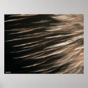 Splinters of Light Poster posters