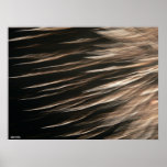 Splinters of Light Poster