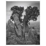 Split Tree Flyers