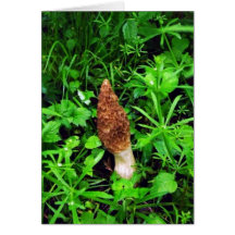 Sponge Mushroom with green plants Greeting Card
