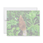 Sponge Mushroom with green plants invitations
