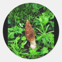 Sponge Mushroom with green plants Sticker