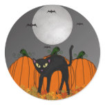 Spooked Kitty Halloween Stickers