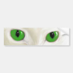 spooks eyes boo bumper sticker
