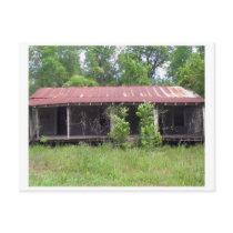 Spooky Abandonded Old House  Original Photograph Post Cards