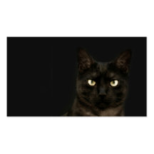 spooky cat profile card business cards
