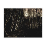 Spooky Darkened Forest Postcard