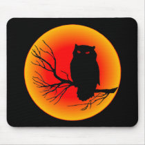 Spooky Owl