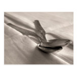 Spoons Post Card