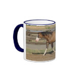 sportaloosa stallion bradford coffee mug