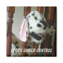 Spot Control Refrigerator Magnets