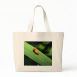 spot ladybird bag