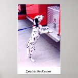 Spot to the Rescue posters