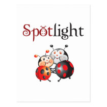 Spotlight Ladybug Postcard postcards