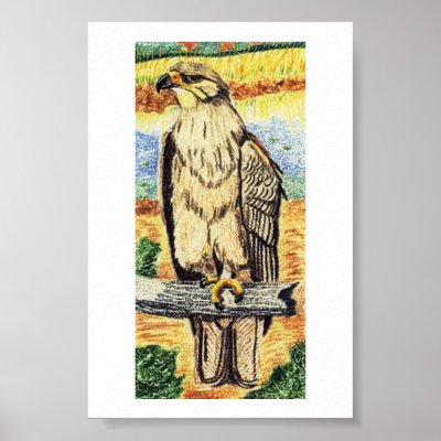 Spotted Eagle Poster