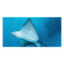 Spotted Eagle Ray Photo Card