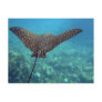 Spotted Eagle Ray Postcard