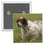 Spotted English Setter Dog Pin