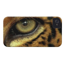 Spotted Jaguar Big Cat Eye Wildlife Phone Case iPhone 4 Case-Mate Cases