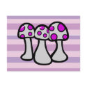 Spotted Mushroom postcards