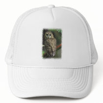 Spotted Owl Baseball Hat
