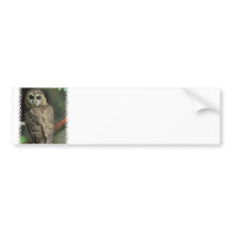 Spotted Owl Bumper Sticker